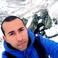 Todor Pulev