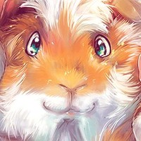 Iva Fany Vyhnánková