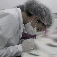 Stephany da Silva Santos