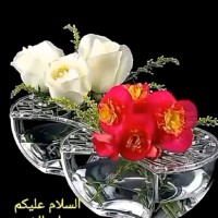 Noor e Saba