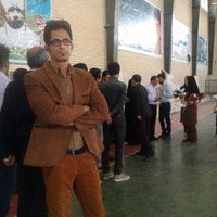 saleh safavi