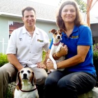 Bark Busters Home Dog Training Space Coast