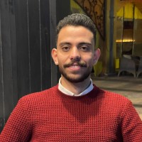 Mohamed Elgantery