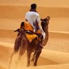North India Travel Services