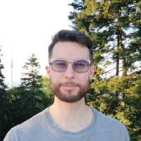 Vojislav Vlasic