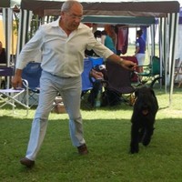 ciro sansone