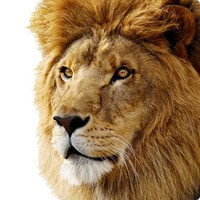 Prashant Kumar Rajora