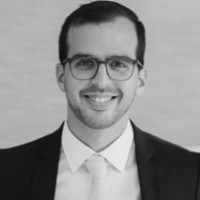 Raz Segal