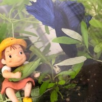 付新越