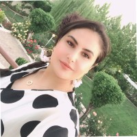 Viyan Taqiyaddin
