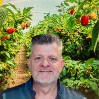 Jos Uitdewilligen