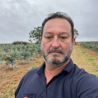 Ricardo Piffer