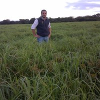 Juan Pablo Caro Checa