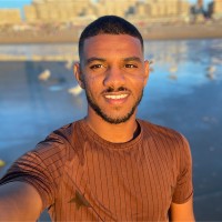 Osama Hassan