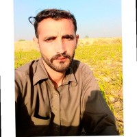 Bashrat Ali