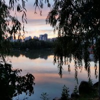 杨学彬