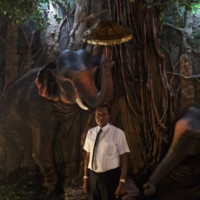 Prem Tilaka