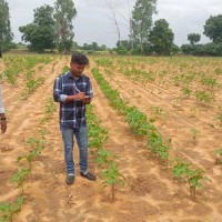 Sachin Mandal