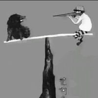 秦光耀