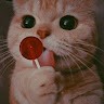 Bonnie Bonbon