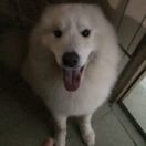 潘俊伟