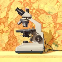 Vancouver Petrographics