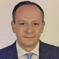 Sherif Mohamed Atef Elshalaby
