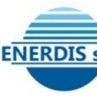 DG ENERDIS