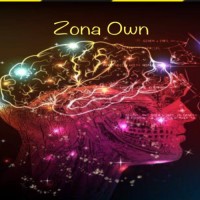 Zona Own