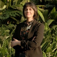 Ana Maria Jaramillo S.