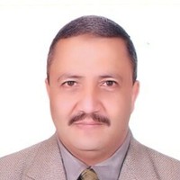 Muhammad Al-Tohamy