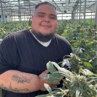 Mauricio Lopez