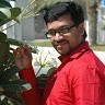 Bibin Antony