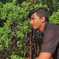 Punith Shetty