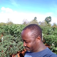 Samwel Muiruri, Phd