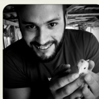 Panagiotis Koumoutsakis
