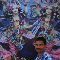 Amol J