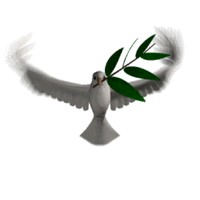 김필립
