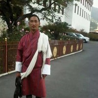 yang sel