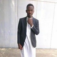ally hamza