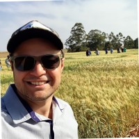 Diego Ruiz de Freitas