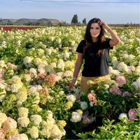 Emily Rosedale-Kousoulis