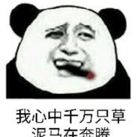 马庆伟