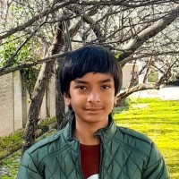 Syed Muhammad Irtaza Naqvi