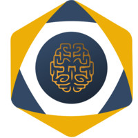 Cognuitive Solutions Inc