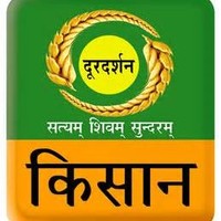 Dd Kisan