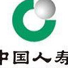 舒文奇