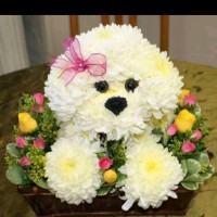 Vutukuru Manoj Kumar