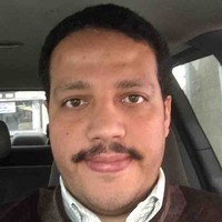 Mr. Mohamed Fouad