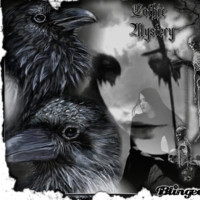 Raven Black